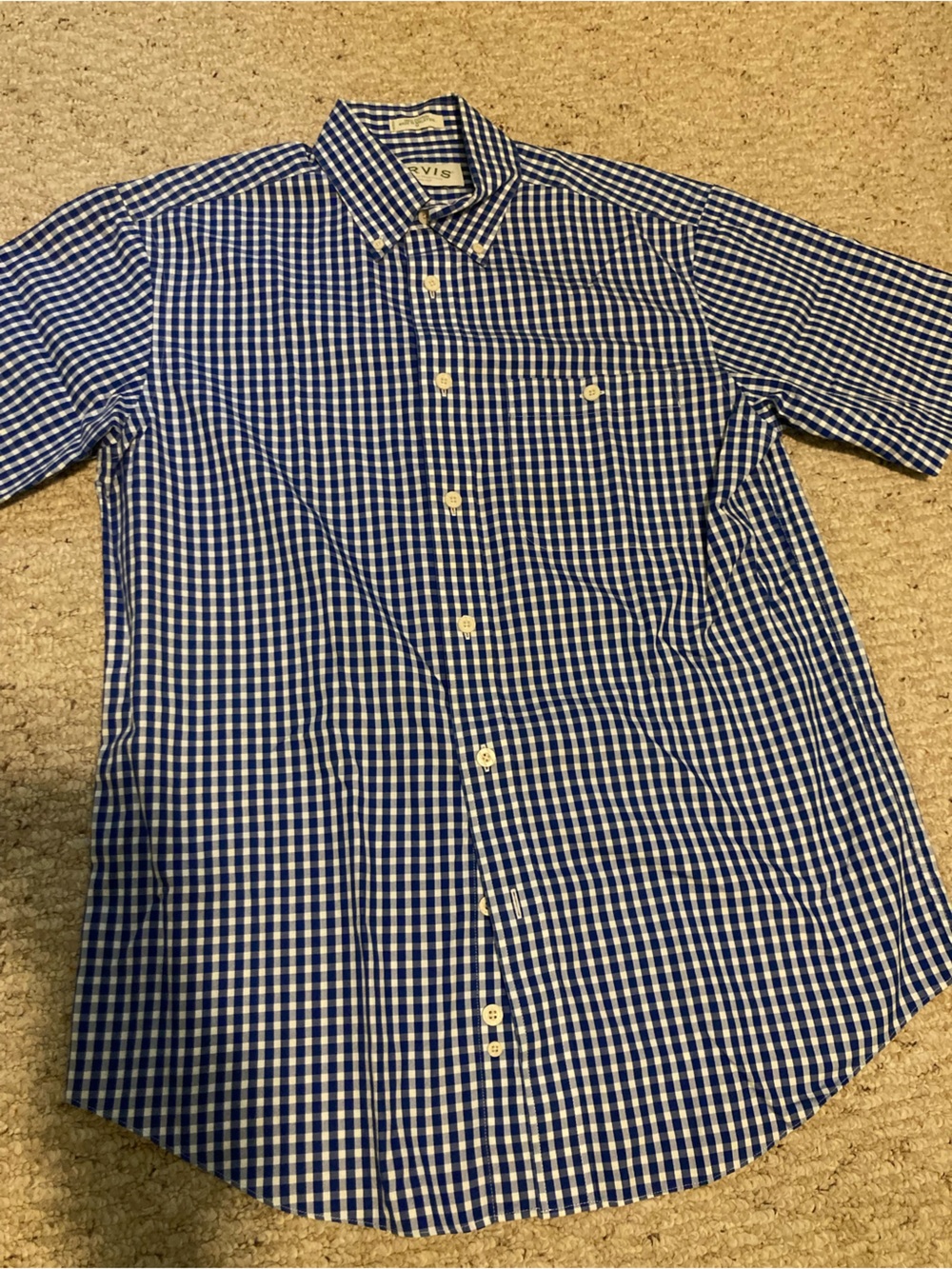 Orvis Blue and White Gingham Button-Down Shirt